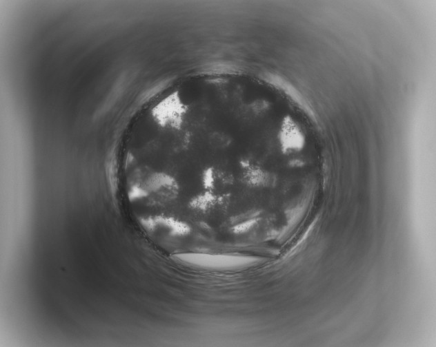 X0000101101213200807241021