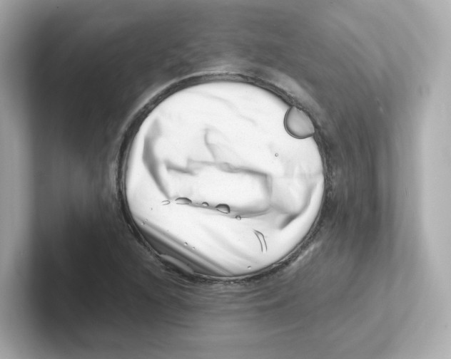 X0000101101216200807241021