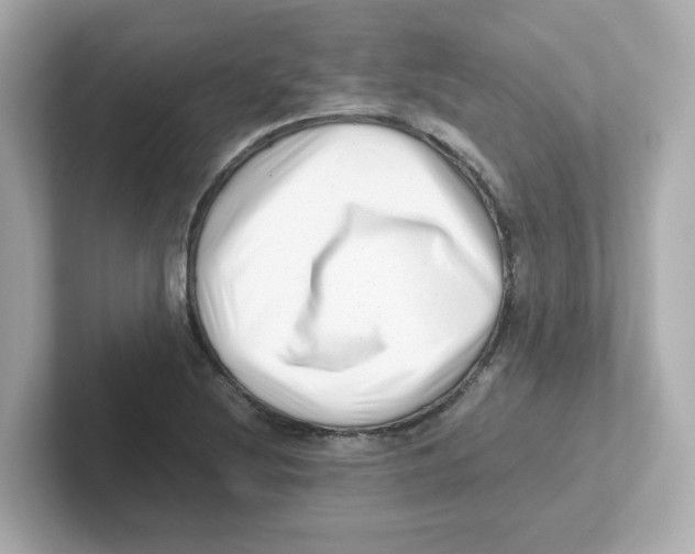 X0000101101220200807241021