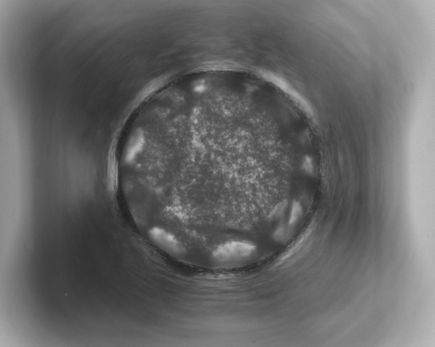 X0000101101221200807241021