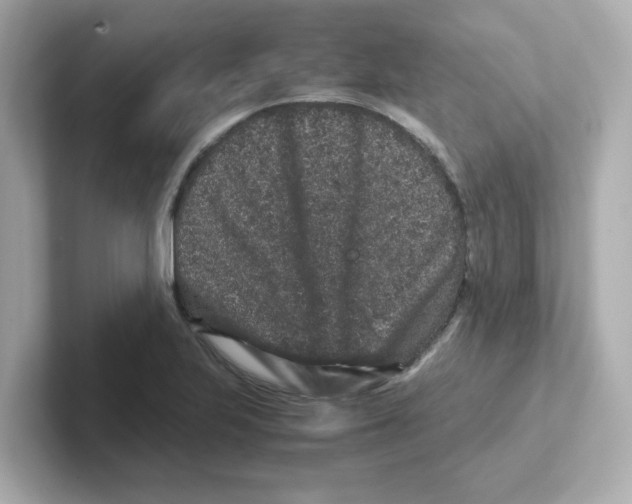 X0000101101223200807241021