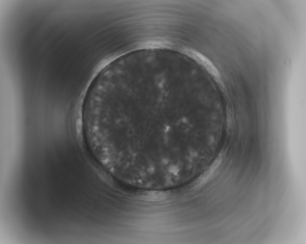 X0000101101226200807241021