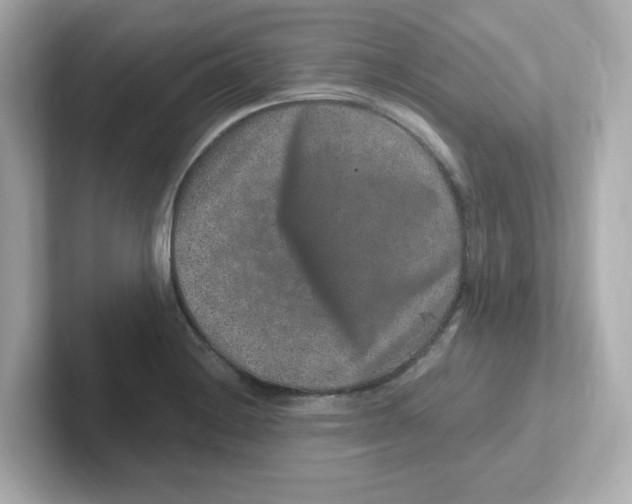 X0000101101228200807241021