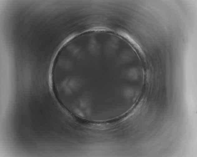 X0000101101229200807241021