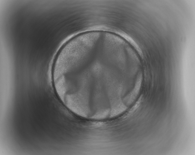 X0000101101230200807241021