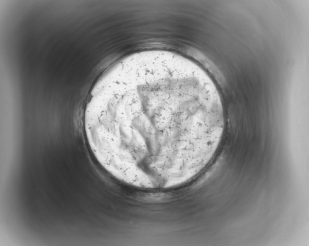 X0000101101233200807241021