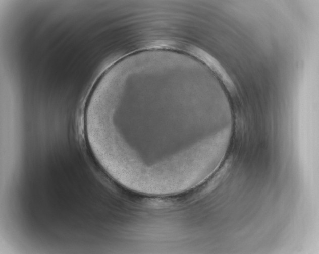 X0000101101234200807241021