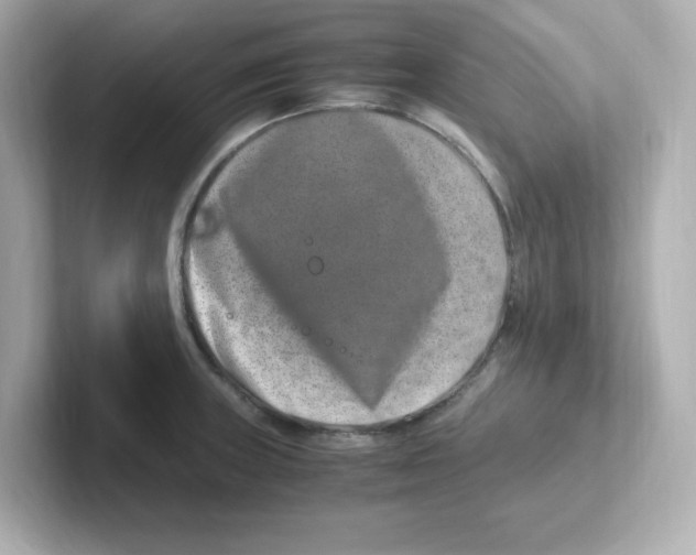 X0000101101235200807241021