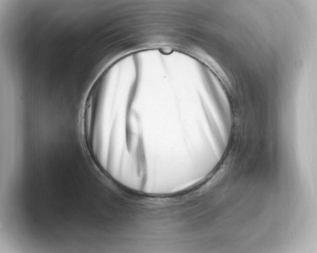 X0000101101236200807241021