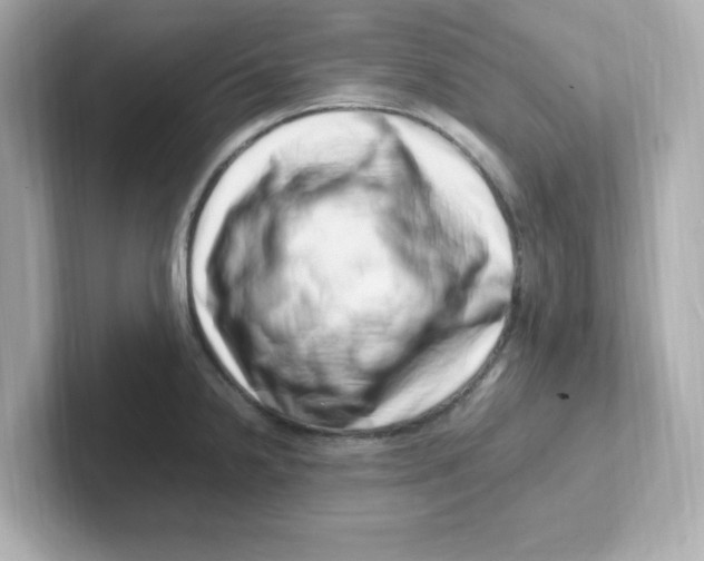 X0000101101238200807241021
