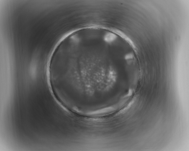 X0000101101239200807241021