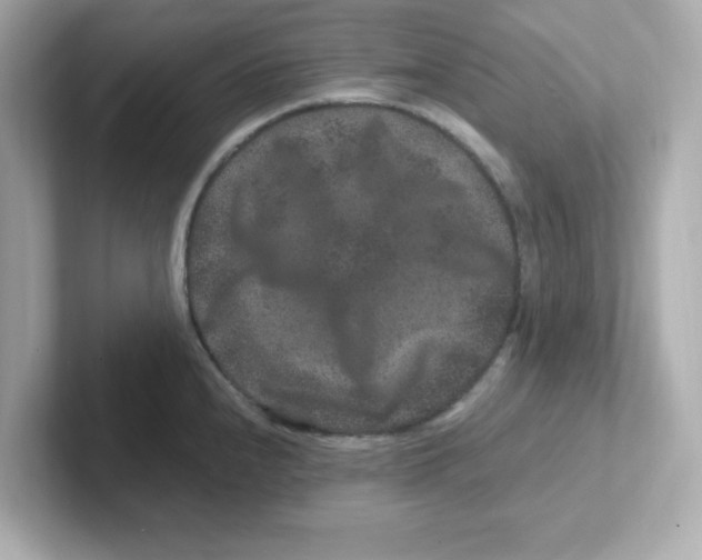 X0000101101240200807241021