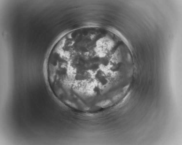 X0000101101243200807241021