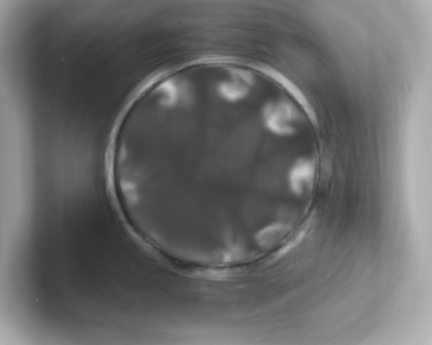 X0000101101245200807241021