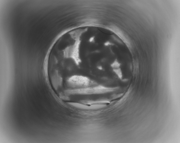 X0000101101246200807241021