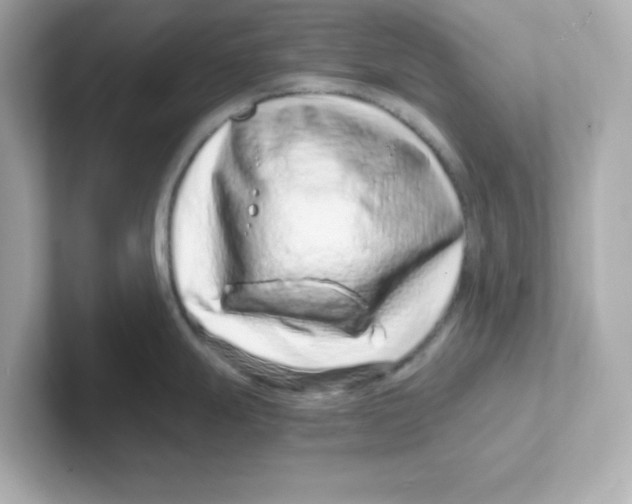X0000101101247200807241021