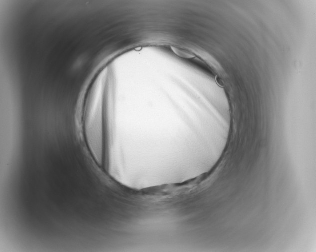 X0000101101248200807241021