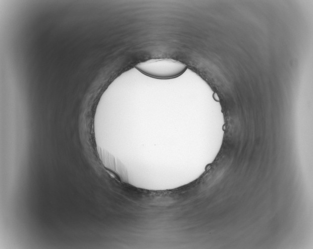 X0000101101249200807241021