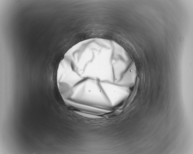 X0000101101250200807241021