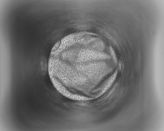 X0000101101251200807241021