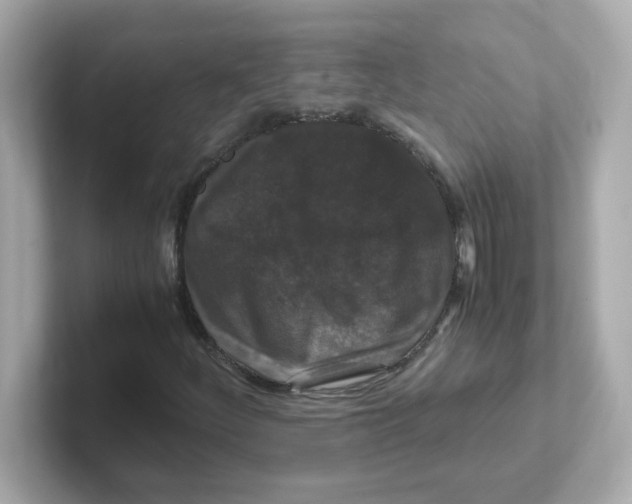 X0000101101252200807241021