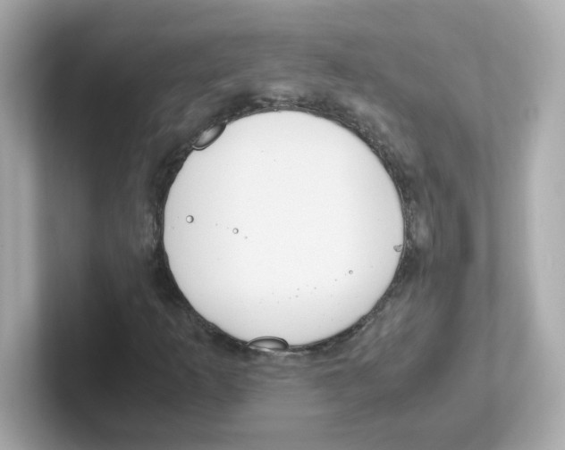 X0000101101253200807241021