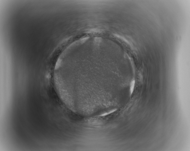 X0000101101254200807241021