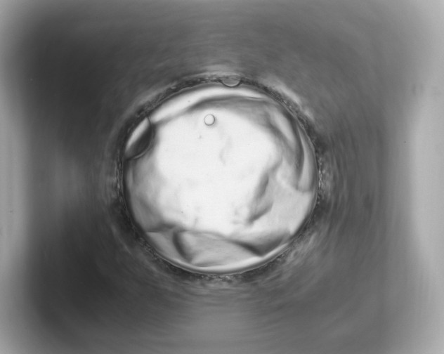X0000101101255200807241021
