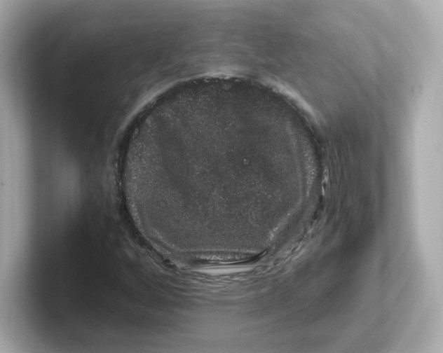 X0000101101256200807241021