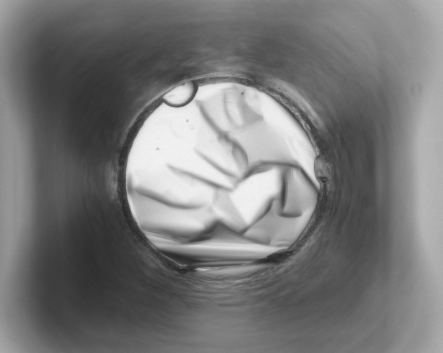 X0000101101260200807241021
