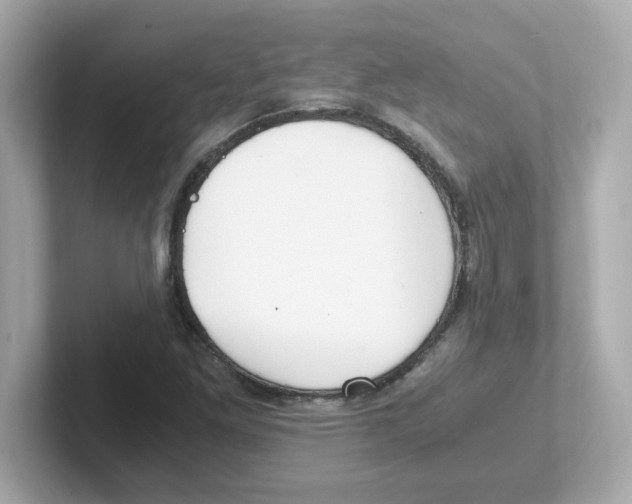 X0000101101261200807241021