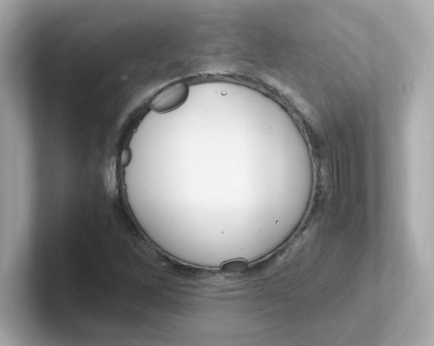 X0000101101262200807241021