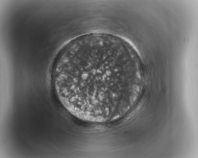 X0000101101263200807241021