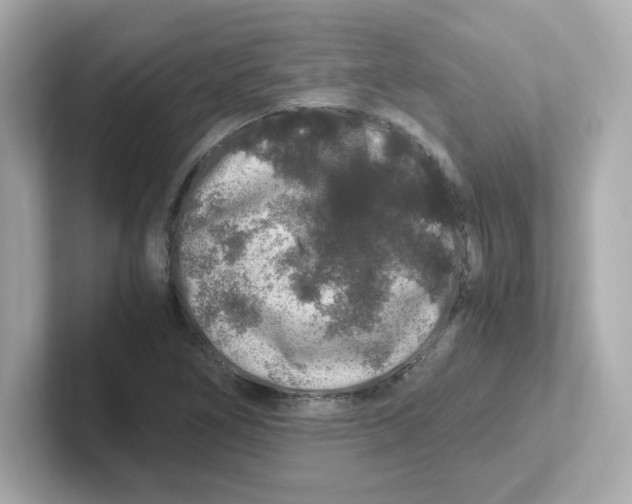 X0000101101266200807241021