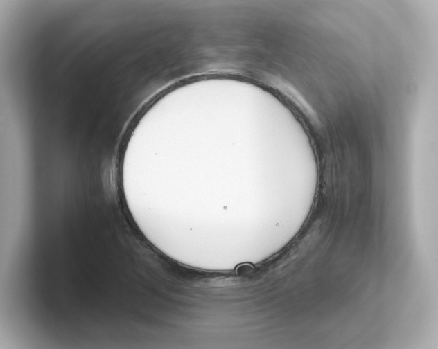 X0000101101268200807241021