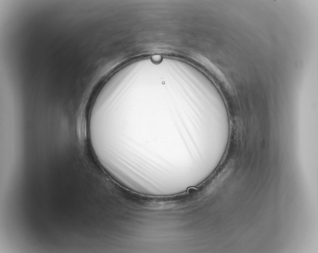 X0000101101269200807241021