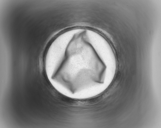 X0000101101271200807241021