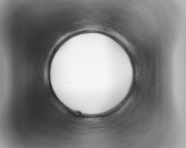 X0000101101272200807241021