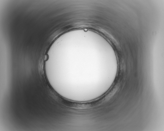 X0000101101273200807241021