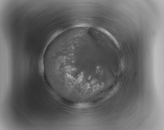 X0000101101274200807241020