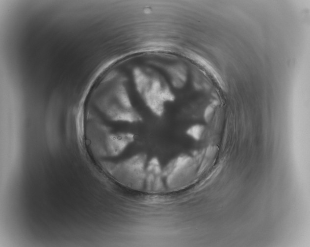 X0000101101275200807241020