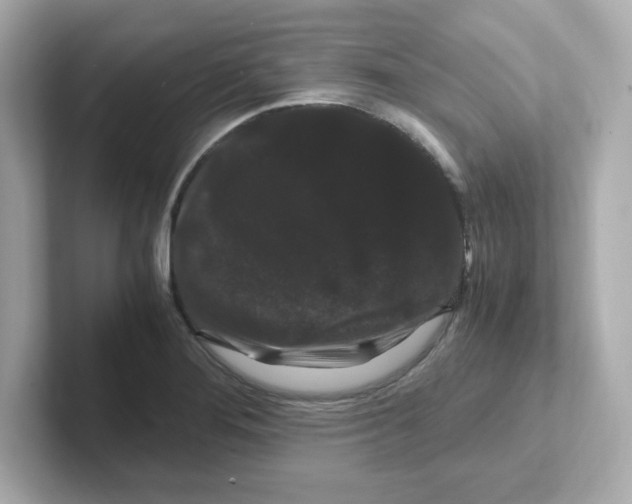 X0000101101276200807241020