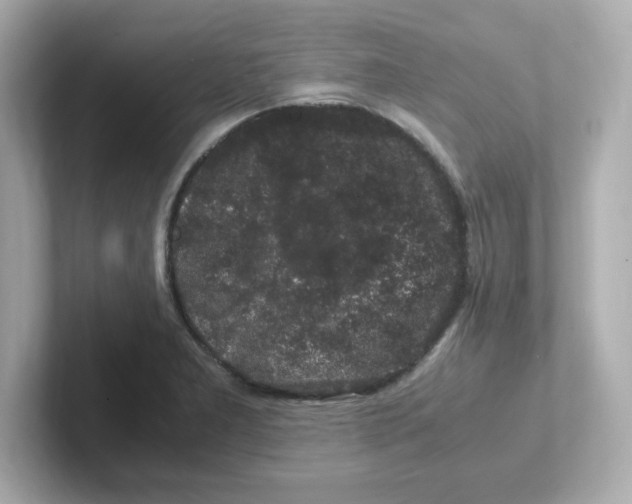X0000101101277200807241020