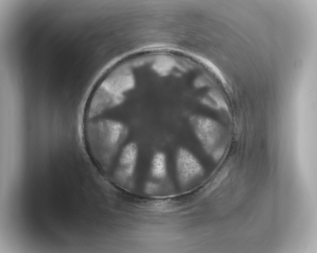 X0000101101279200807241020