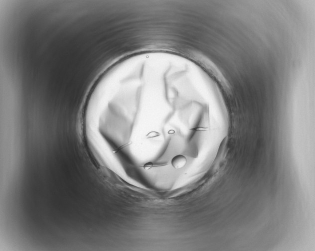 X0000101101284200807241020