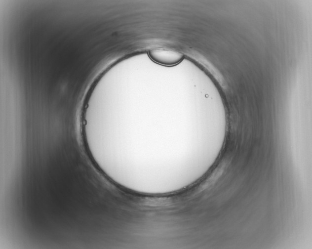 X0000101101285200807241020