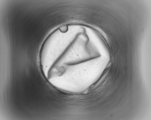 X0000101101287200807241020