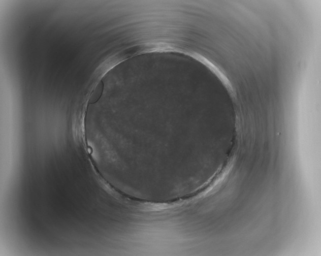X0000101101289200807241020