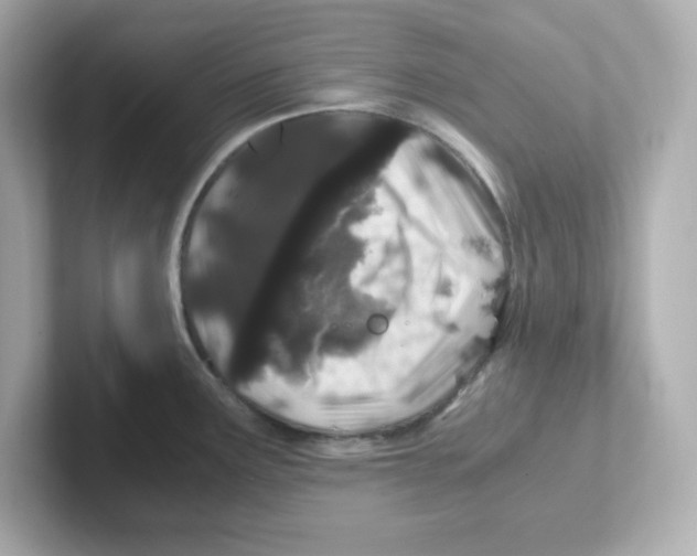 X0000101101291200807241020