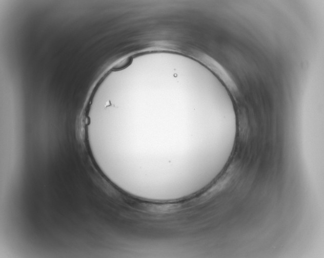 X0000101101292200807241020